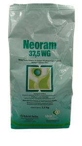 1707752754033-removebg-preview3