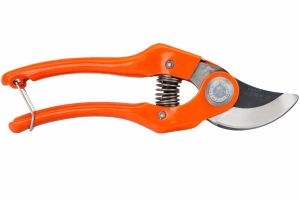 a9e99e29-6220-4e5a-92e3-a474be5d0a74